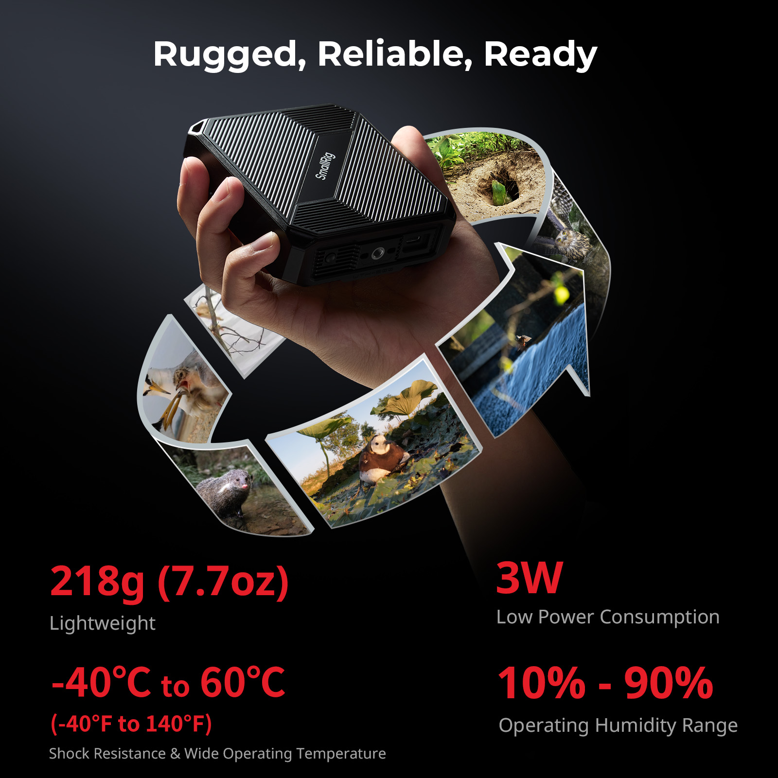 Long-Range Wireless Repeater for DSLR/Action Cameras in Wildlife Shooting - immagine 9