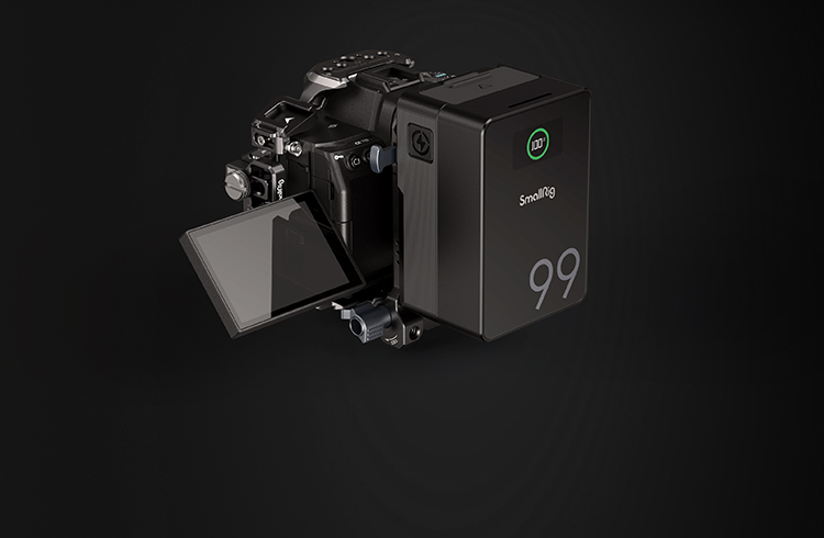 Sony Alpha 7 V / 7 IV