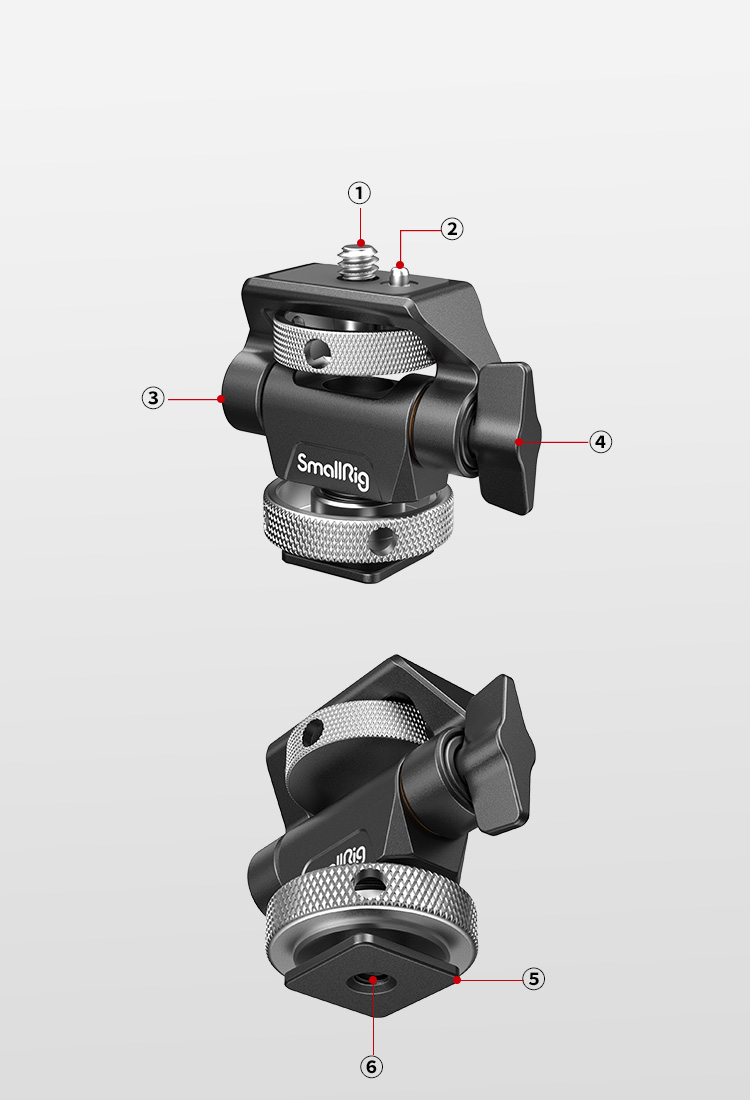 Multiple mounts for mounting various accessories