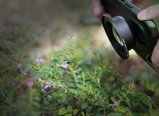 Using 75mm Telephoto Macro Lens