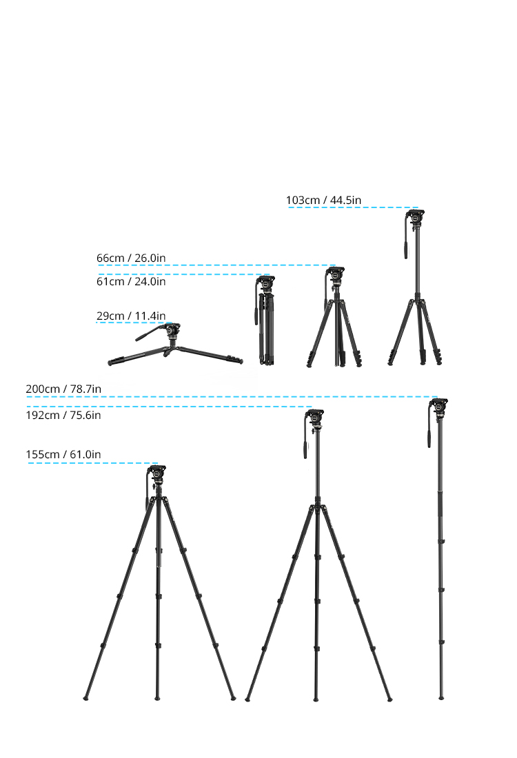 Adjustable Height