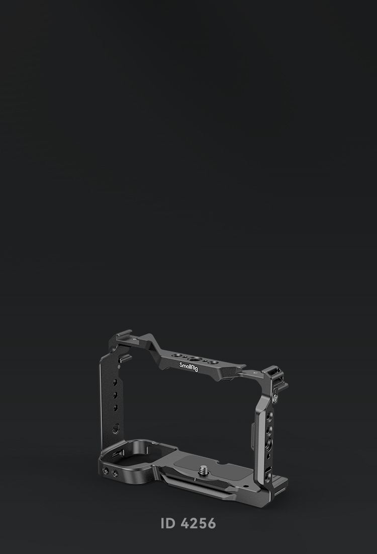 Cage for Sony ZV-E1
