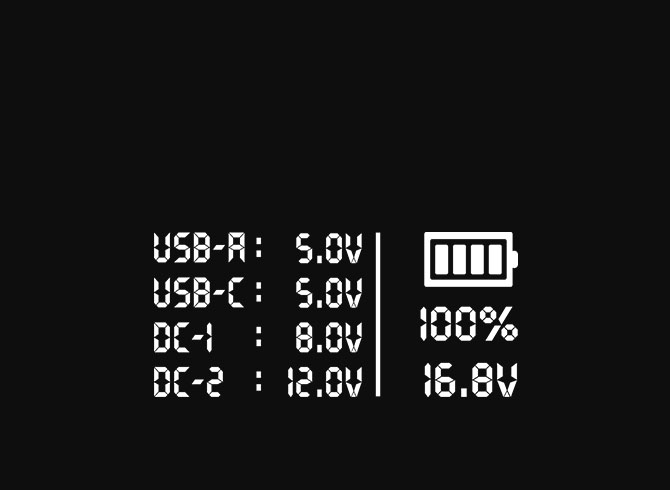 OLED Digital Display