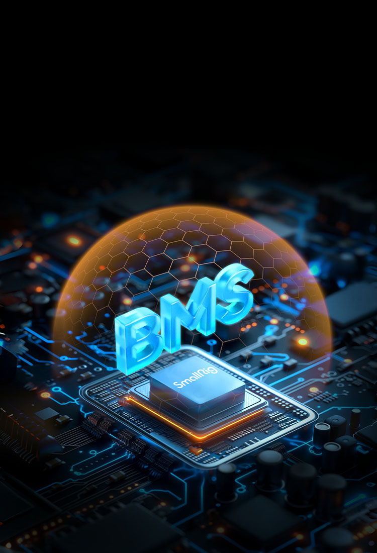 Intelligent BMS