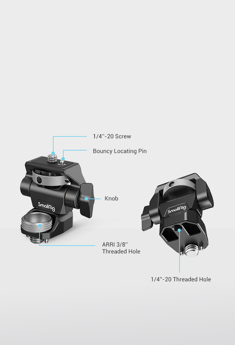 Multiple mounts for mounting various accessories
