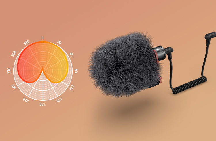 Cardioid Microphone