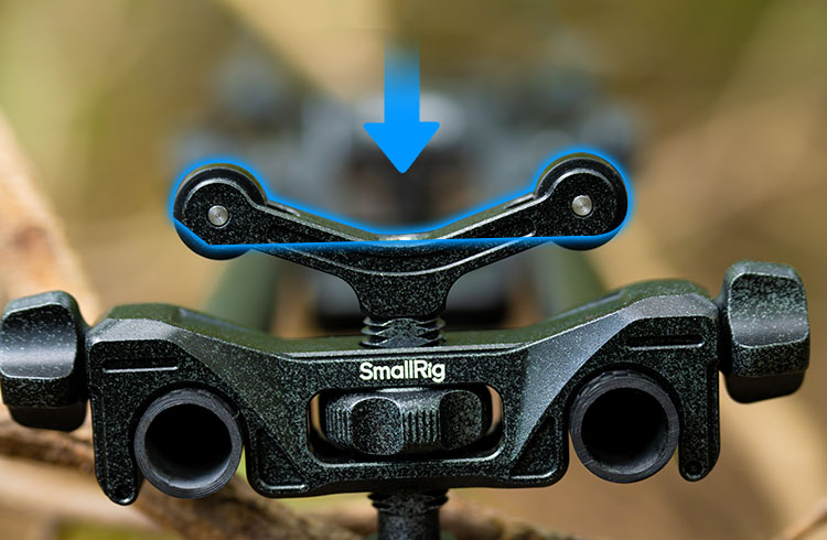 Lens Support