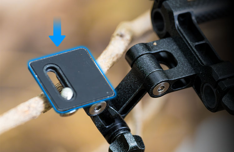 Camera Body Support