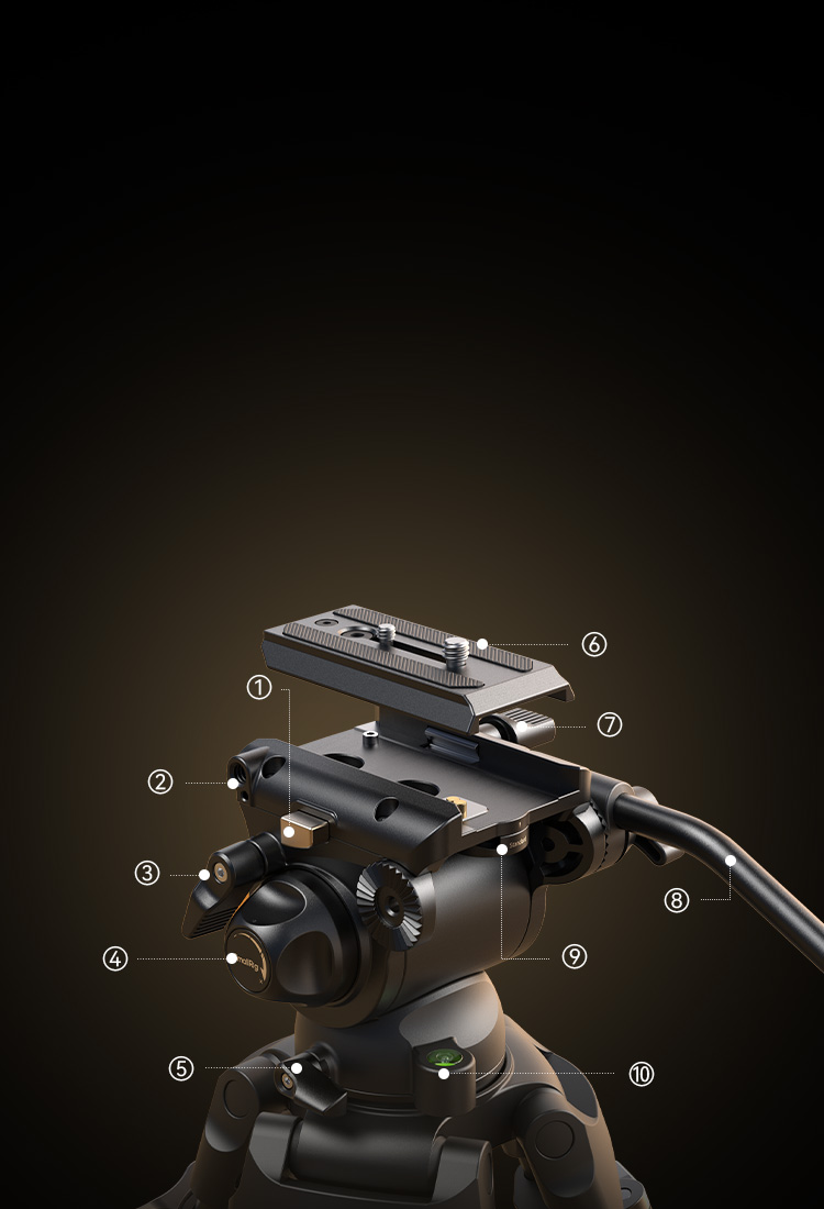 Dynamic Head with Outranged Performance