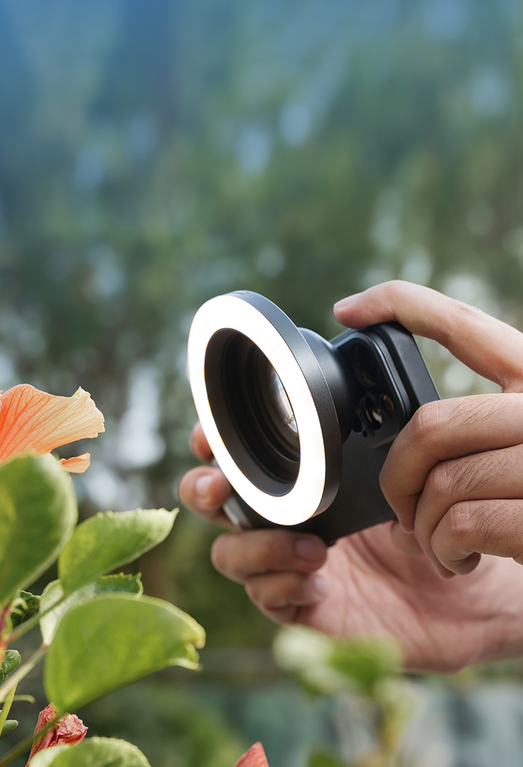 Brighten Your Macro World