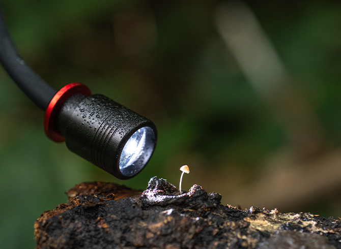IP54 -Rated for Outside Creation