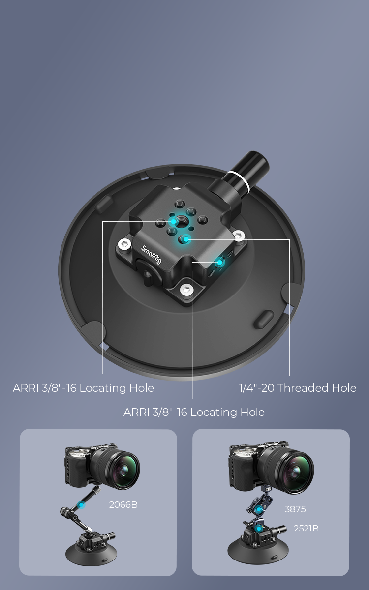 Multi-function Mount