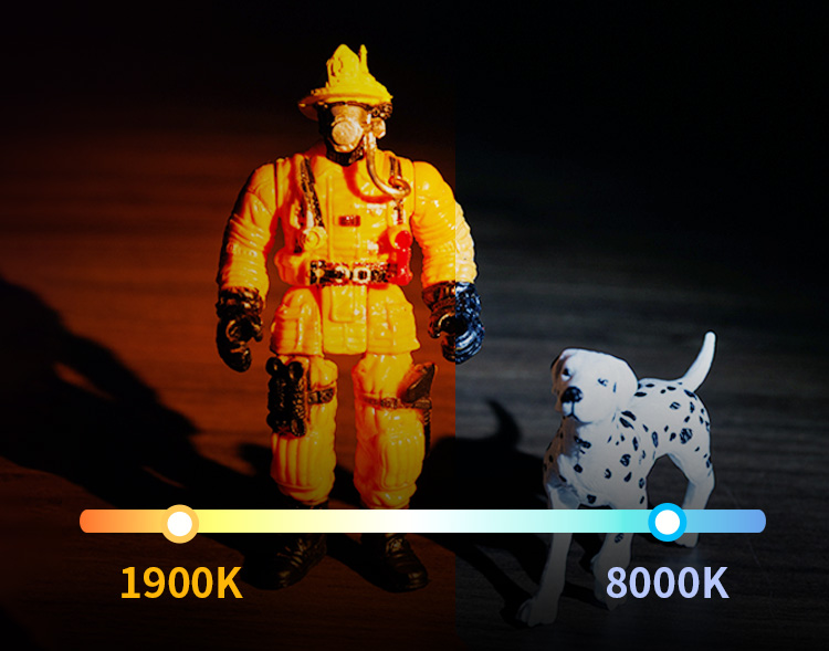Dual Color Temperature