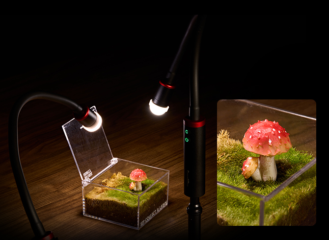 Create a Miniature World | Indoor Nature Macro Studio