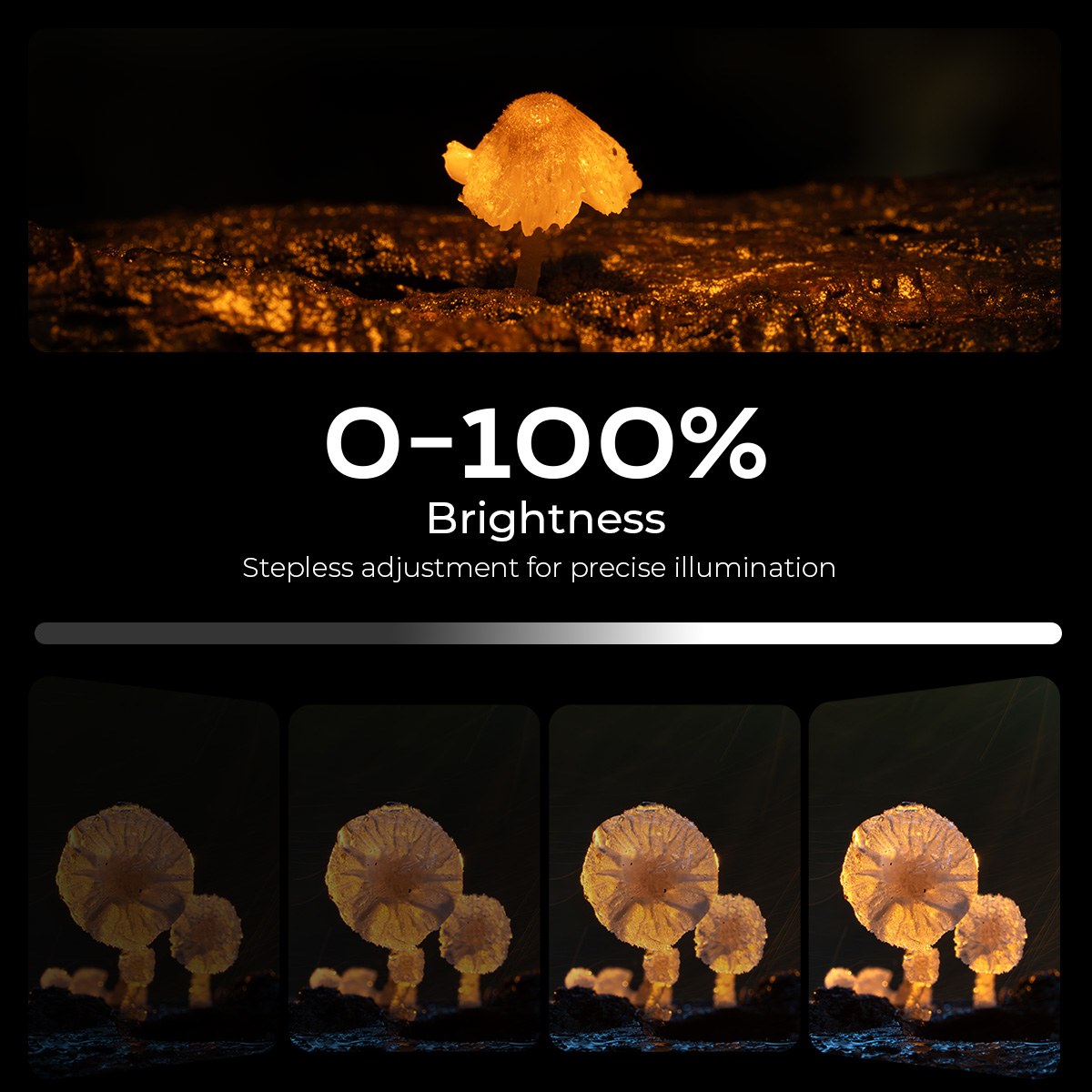RM 01B Mini Macro Photography LED Light - immagine 4