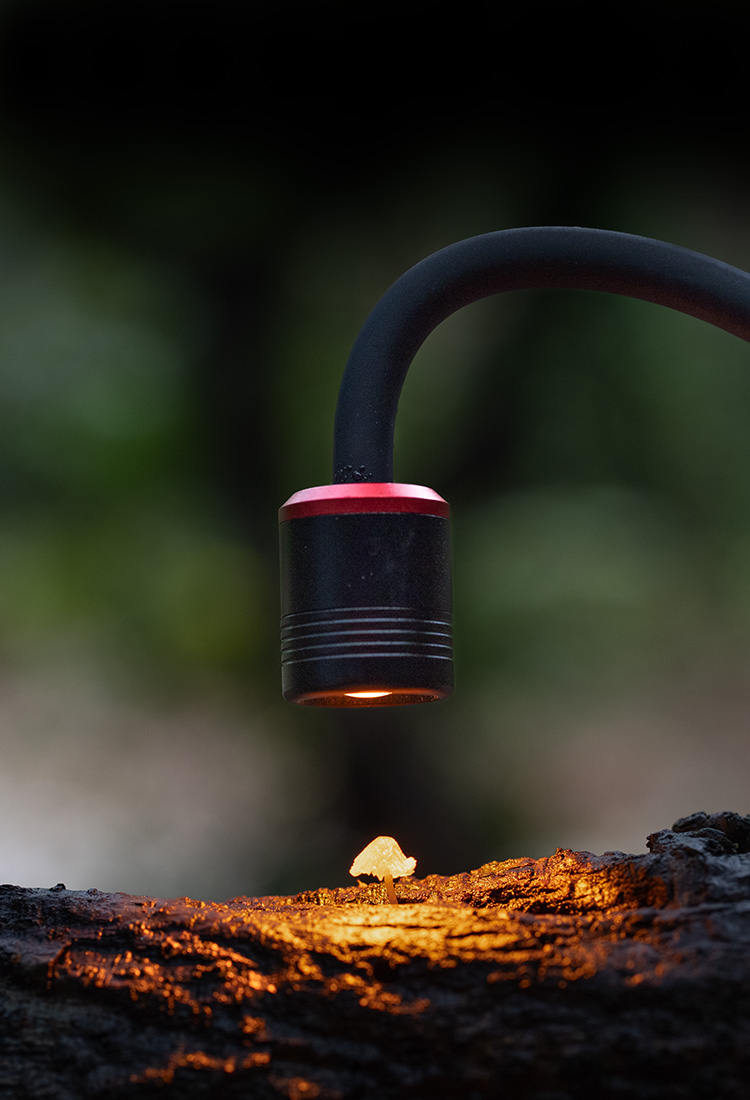 Precision Light for Honest Detail