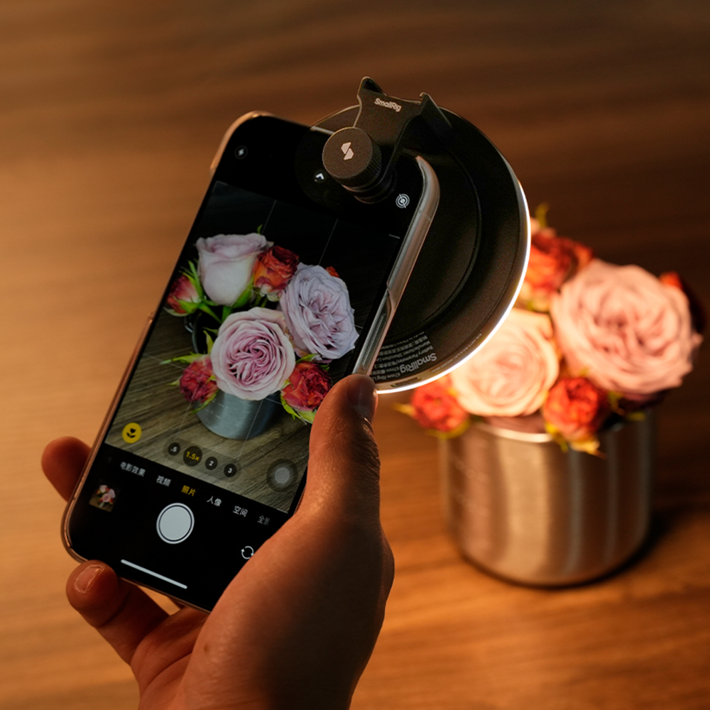 Vibe P30 67mm Ring LED Video Light - immagine 8