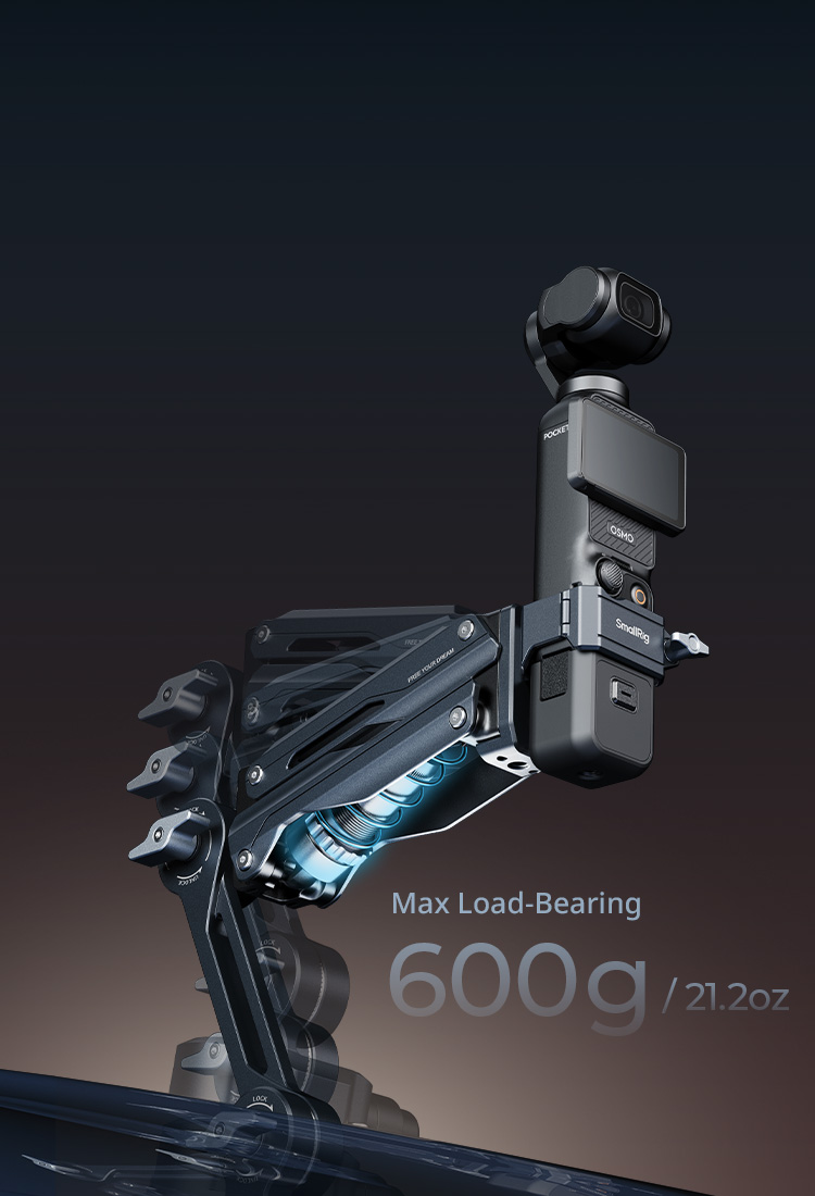 Vertical Shock Absorption and Adjustable Damping