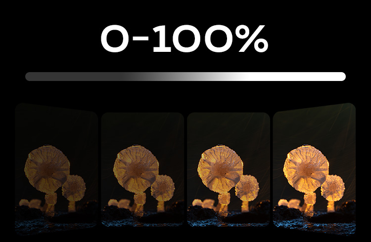 0-100%