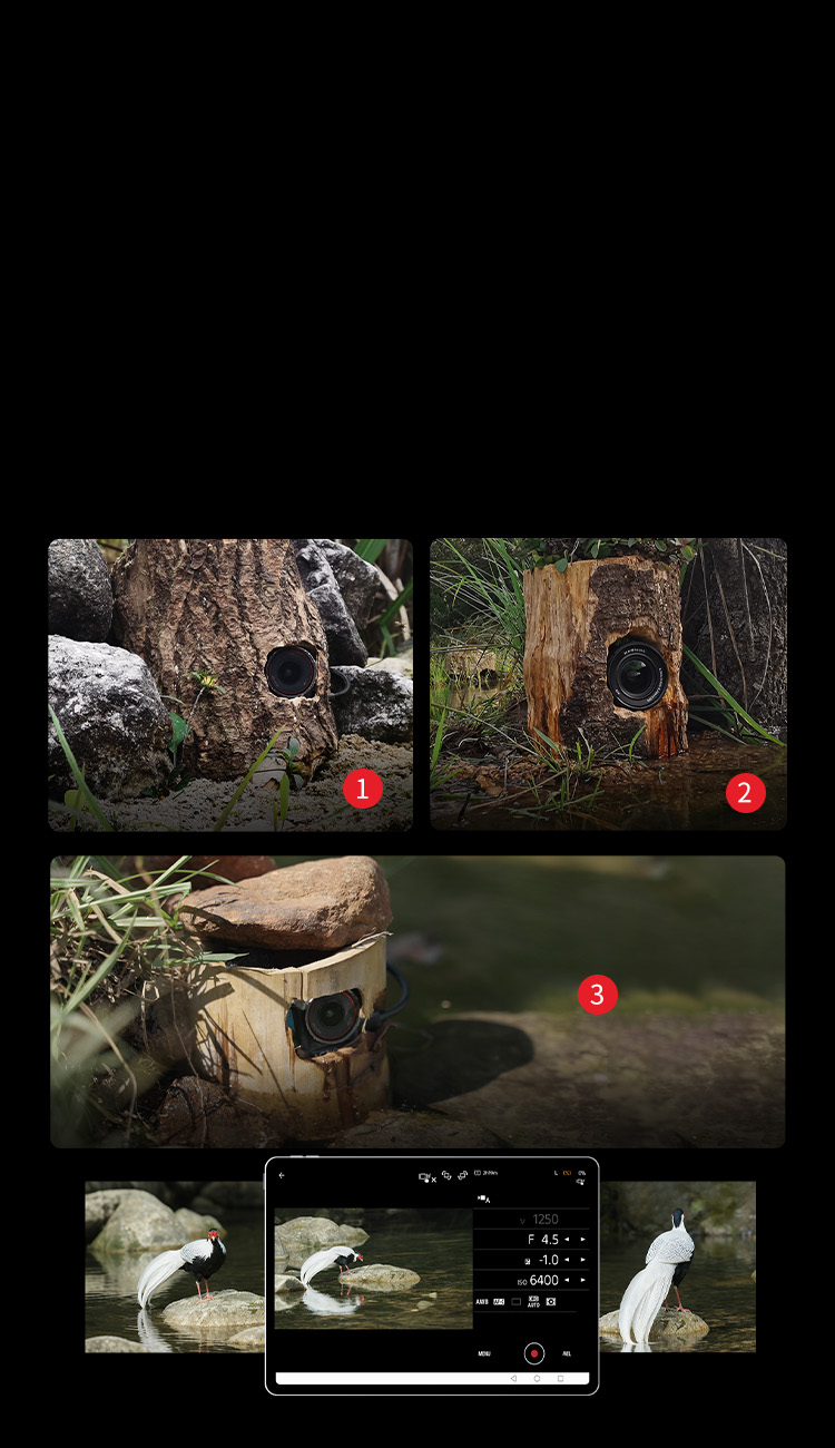 Synchronized Multi-Camera Shooting