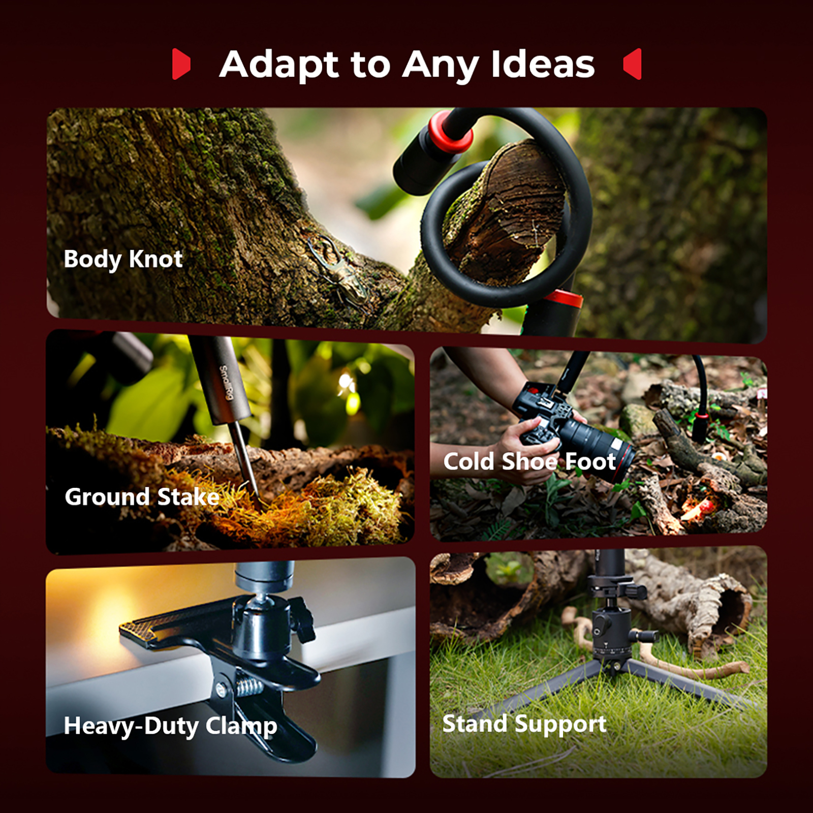 RM 03 Macro Photo LED Light for Mushrooms and Miniatures, 5 Colors CRI95, Flexible Arm, Diffuser - immagine 7