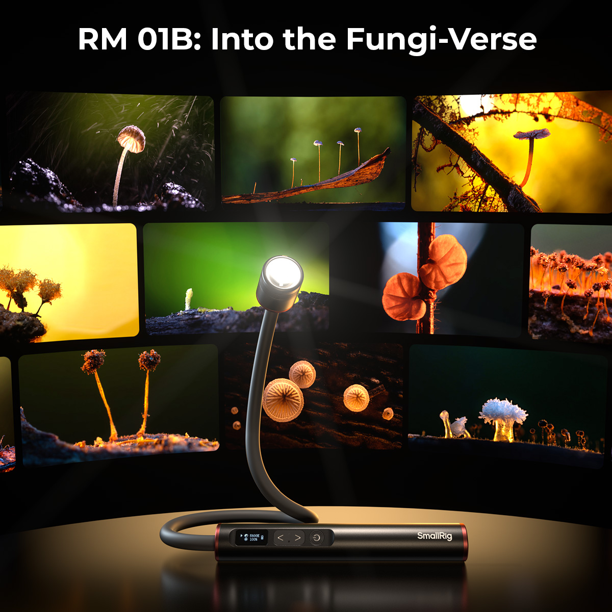 RM 01B Mini Macro Photography LED Light - immagine 3