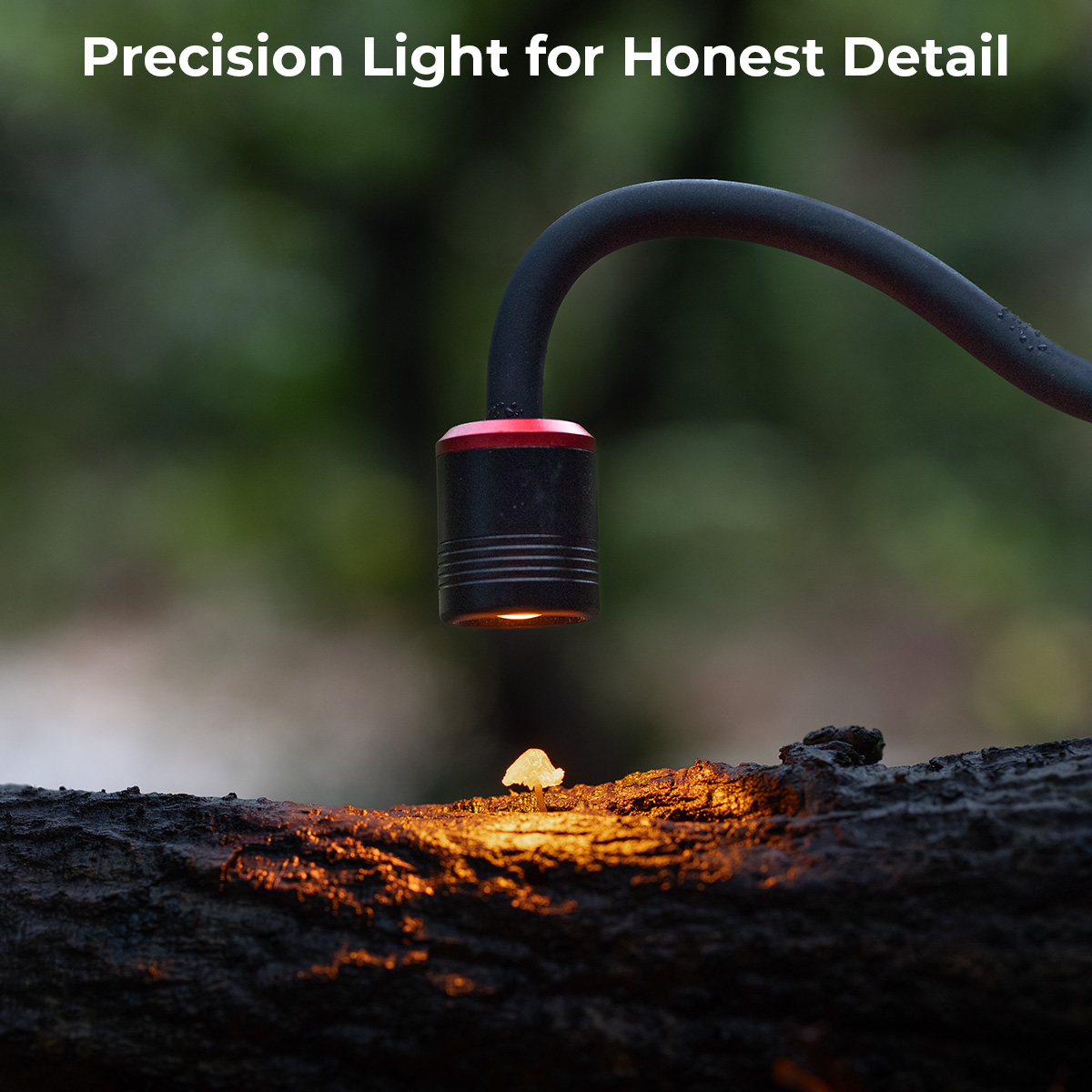 RM 01B Mini Macro Photography LED Light - immagine 9