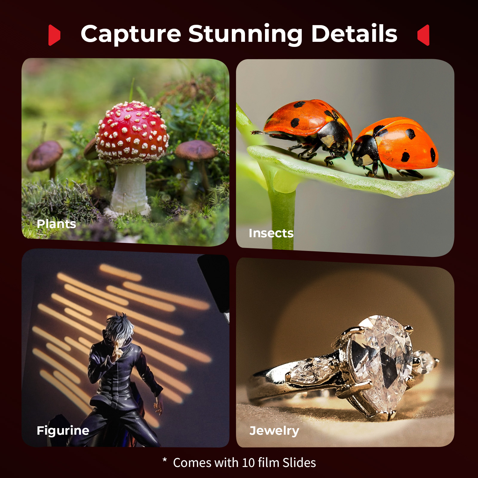 RM 03 Macro Photo LED Light for Mushrooms and Miniatures, 5 Colors CRI95, Flexible Arm, Diffuser - immagine 9