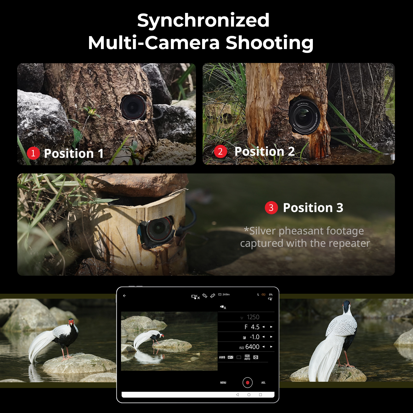 Long-Range Wireless Repeater for DSLR/Action Cameras in Wildlife Shooting - immagine 7
