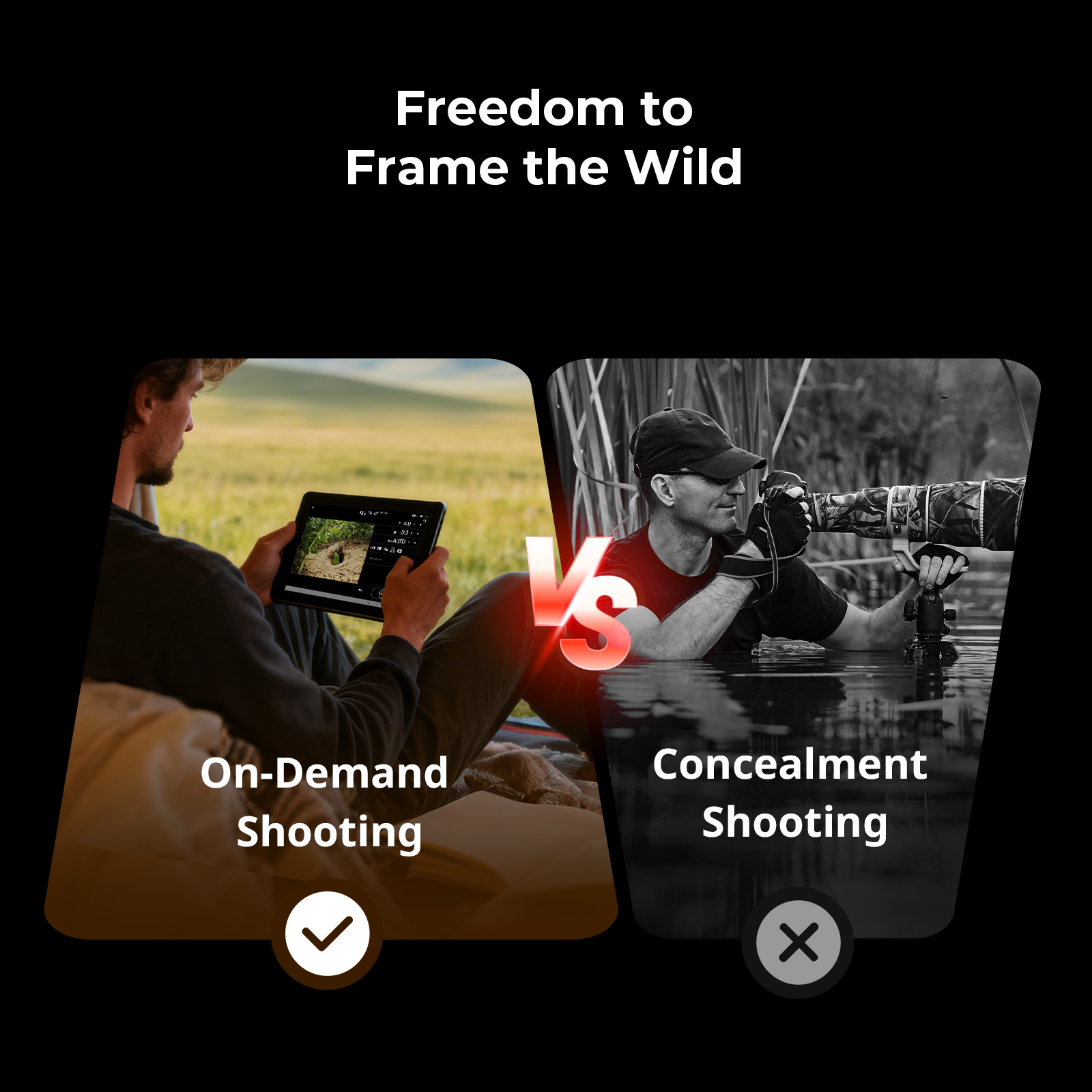 Long-Range Wireless Repeater for DSLR/Action Cameras in Wildlife Shooting - immagine 10
