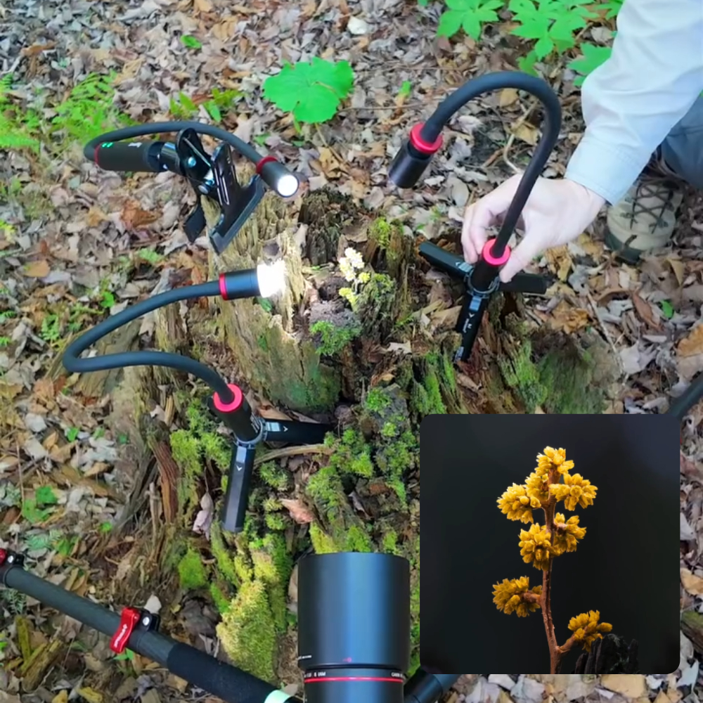 RM 03 Macro Photo LED Light for Mushrooms and Miniatures, 5 Colors CRI95, Flexible Arm, Diffuser - immagine 2