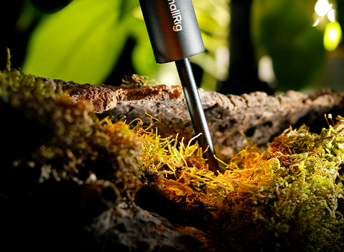 Ground Stake