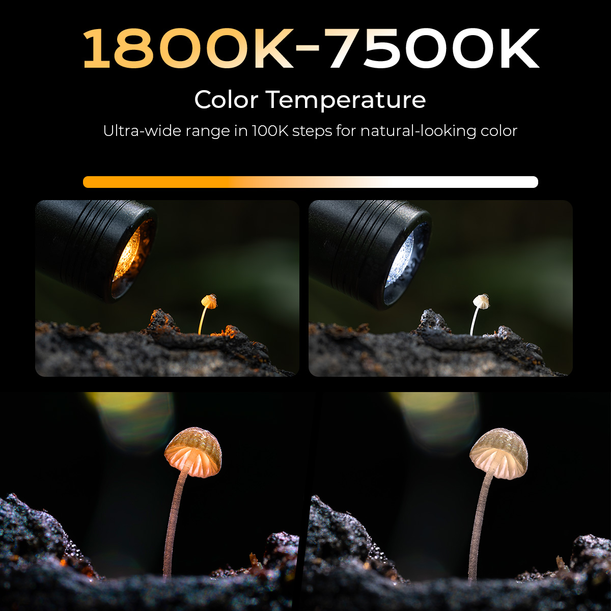 RM 01B Mini Macro Photography LED Light - immagine 5