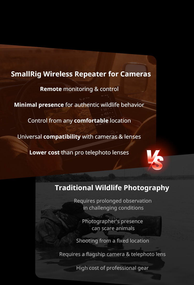 A New Way to Witness Wildlife